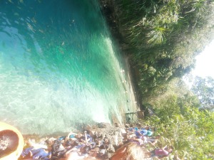 Feeding time at the Enchanted River